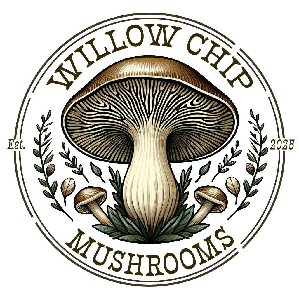 A stylised mushroom encircled with the words Willow Chip Mushrooms est 2025
